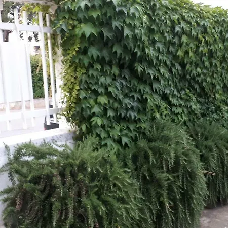 Bed & Breakfast Moma Bari