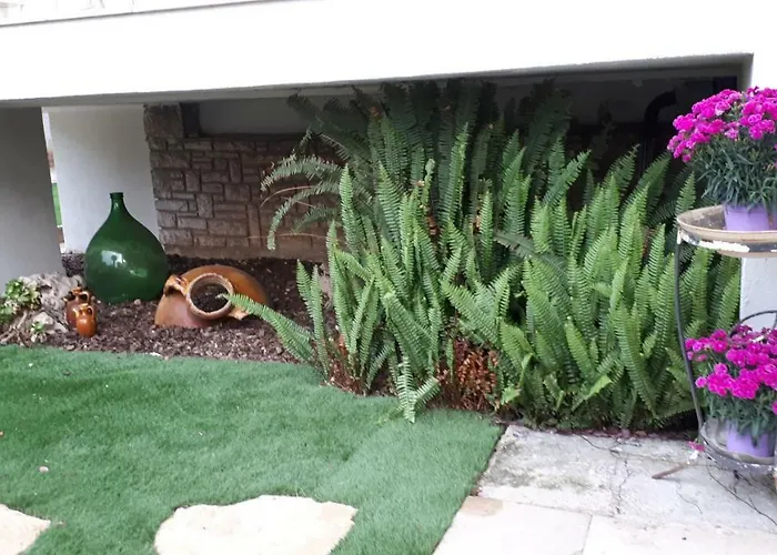 Moma Bed & Breakfast *