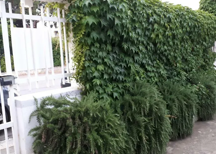 Bed & Breakfast Moma Bari