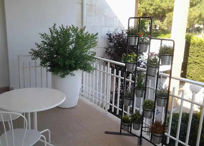 Bed & Breakfast Moma Bari